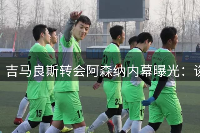 吉马良斯转会阿森纳内幕曝光：谈判策略引纽卡高层不解