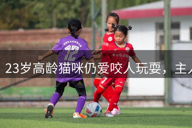 23岁高龄猫咪仍爱咬人玩耍，主人感动落泪